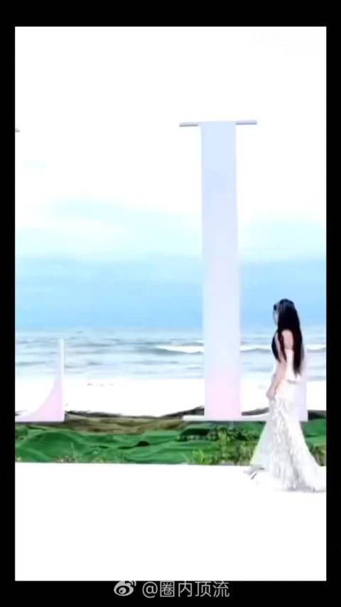 邢菲钻石裙闪耀全场,星光璀璨如公主