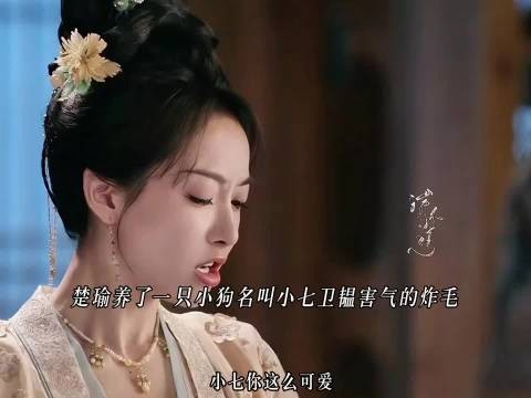 楚瑜养了一只小狗名叫小七卫韫害气的炸毛,我们的小侯爷动了凡心不自知