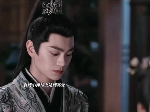 卫小将军怕狗反差萌引热议