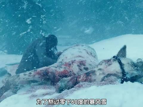 男人为了熬过极寒之夜,竟躲进了马肚子里