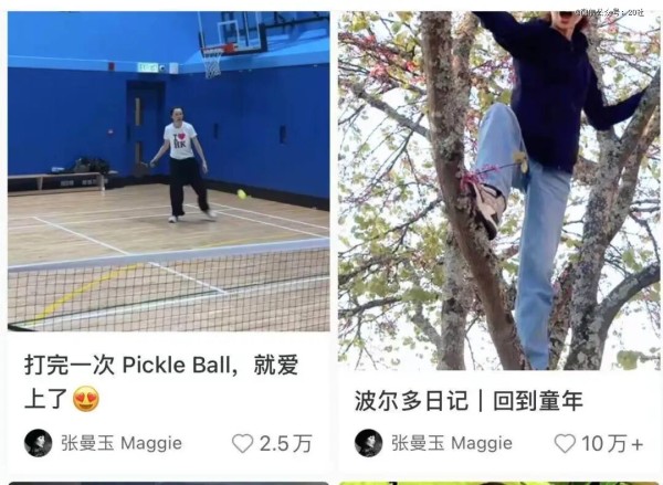 匹克球,对年轻人来说刚刚好