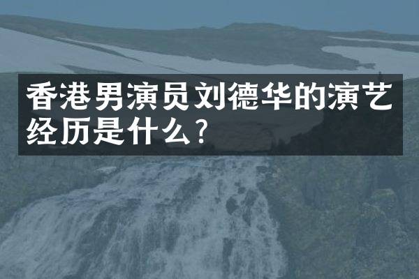 香港男演员刘德华的演艺经历是什么?