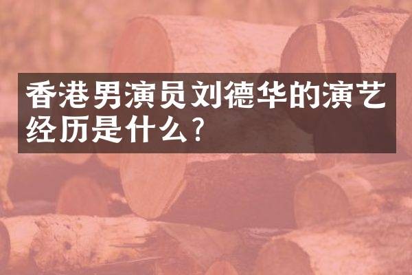 香港男演员刘德华的演艺经历是什么?