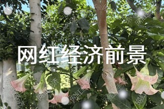 2025年网红经济发展前景 趋势预测