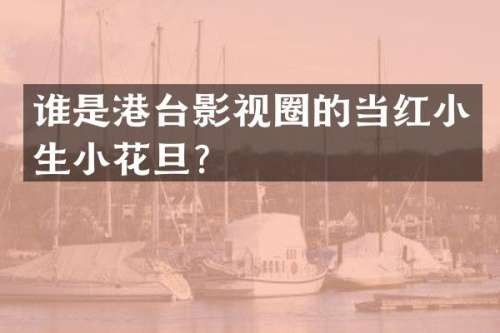 谁是港台影视圈的当红小生小花旦？