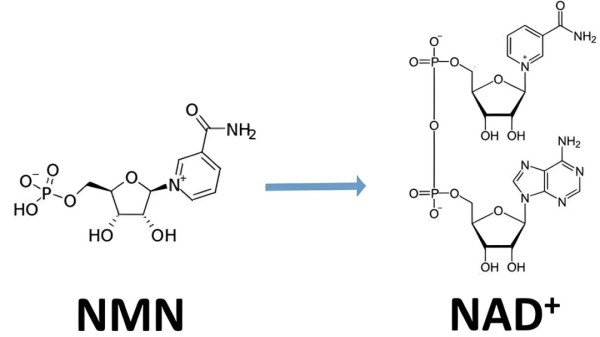 点击查看原始图片