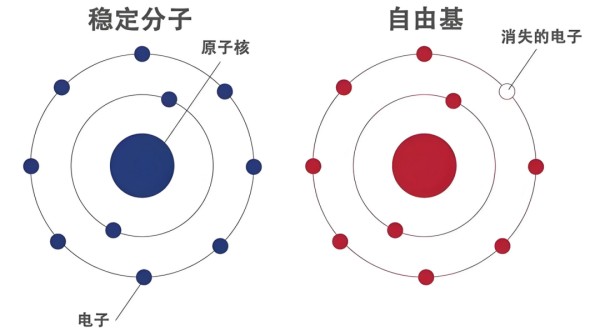 点击查看原始图片