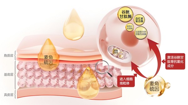 点击查看原始图片