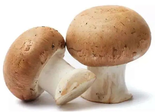 点击查看原始图片