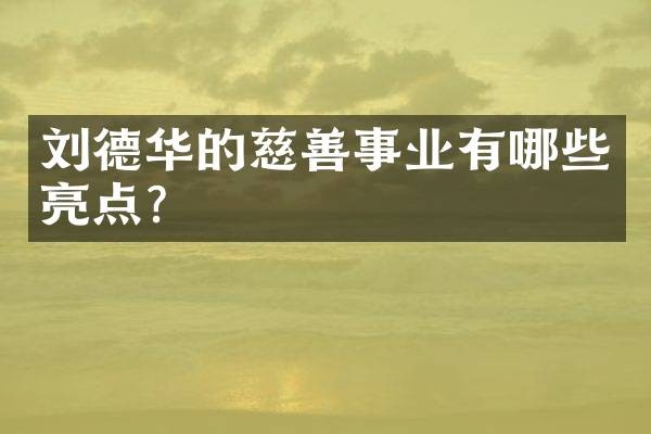 刘德华的慈善事业有哪些亮点?