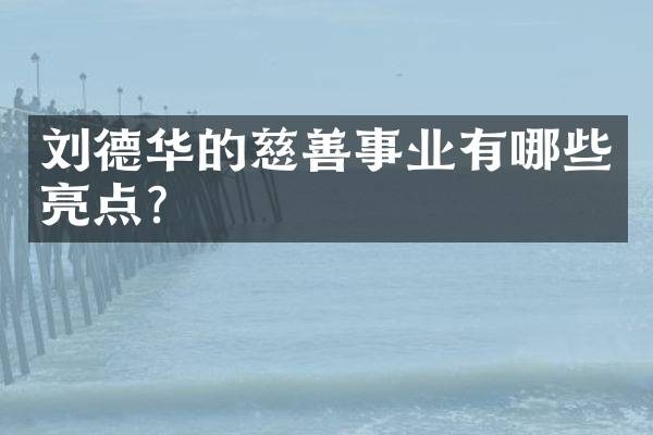 刘德华的慈善事业有哪些亮点?