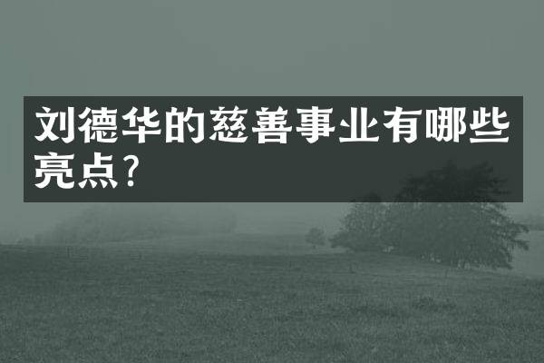 刘德华的慈善事业有哪些亮点?