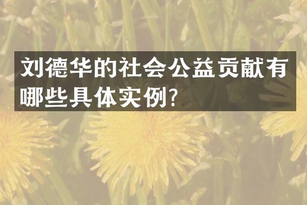 刘德华的社会公益贡献有哪些具体实例？
