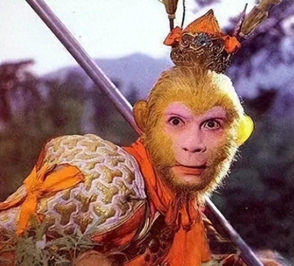 六小龄童女儿34岁未婚？猴王家教出三不新女性