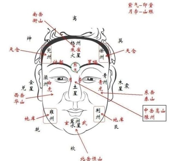 面相图解：从面部特征看个人运势与婚姻
