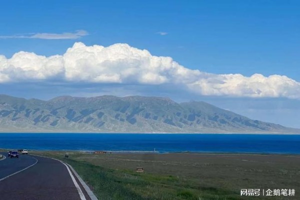从贾跃亭跑路到许家印垮台:股市韭菜如何在风暴中求生?