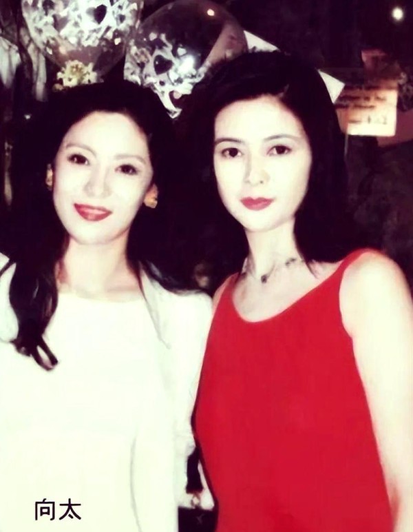 陈岚与向华强的爱恨情仇:娱乐圈背后的坚韧人生