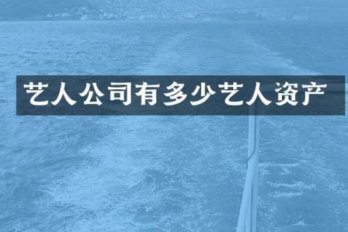 艺人公司有多少艺人资产