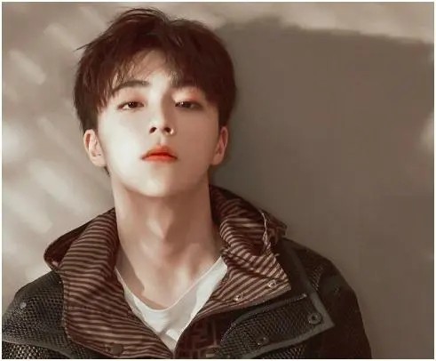 陈立农为何消失退出娱乐圈原因?陈立农属于几线明星个人简历资料