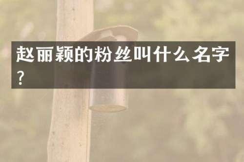 赵丽颖的粉丝叫什么名字？