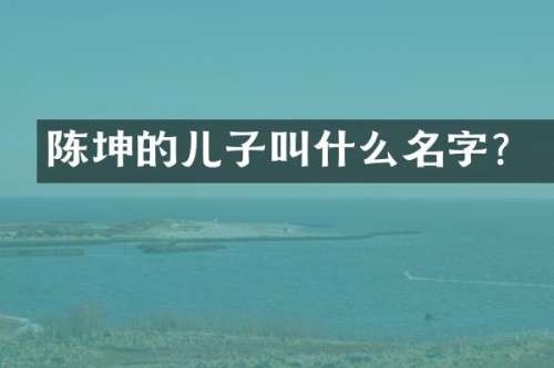 陈坤的儿子叫什么名字？