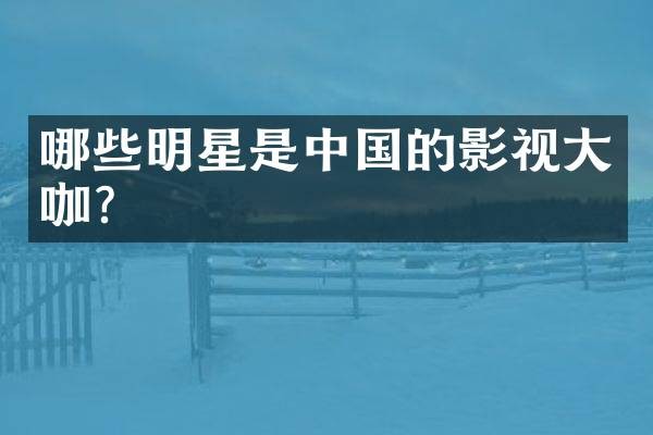 哪些明星是中国的影视大咖？