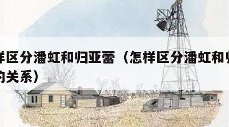 怎样区分潘虹和归亚蕾(怎样区分潘虹和归亚蕾的关系)