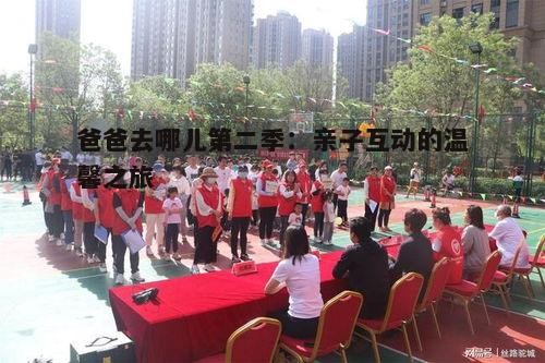 爸爸去哪儿第二季:亲子互动的温馨之旅