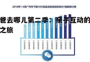 爸爸去哪儿第二季:亲子互动的温馨之旅