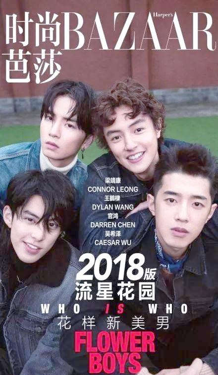 亚洲之星背后的 struggled之路:柴智屏与新F4的造星之路