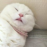 明星妆容和网红妆容的区别