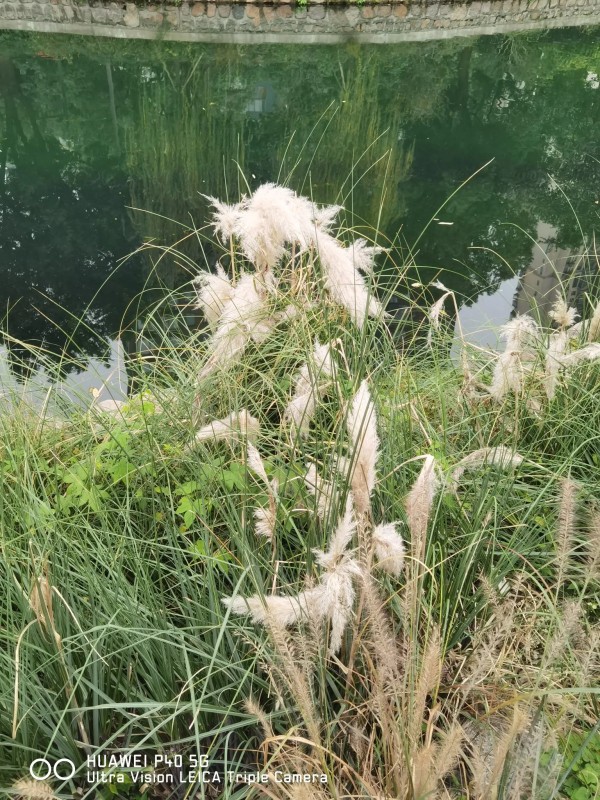 沐沐飞:其实所谓的小三也可以是非常善良的人。他可能就是我们身边熟悉的人。
这是听一个熟人讲的她同事的事。两人关系非常好,所以我才能听到这个故事。
女的跟男的是高中同学,互有好感,后面女的考上大学了,男的没考上。女的大学毕业分到市里工作,男的已经在老家县城打拼成了农民企业家,公司还被授予了明星企业,有了一定的知名度。
女的毕业以后到了婚育年龄, 开始相亲。见了几个都说没感觉,这时跟男的因为同学聚...
