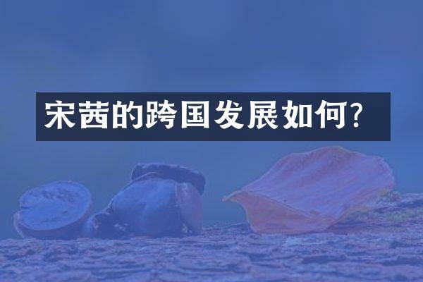 宋茜的跨国发展如何?