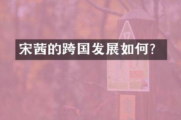 宋茜的跨国发展如何?