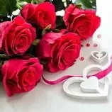 古灵精怪小大人——李欣蕊