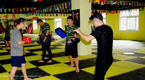 保镖行业的现状与发展趋势分析。 – 战龙保镖公司