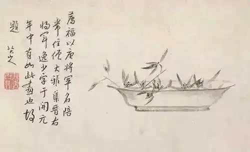 八大山人写兰,凝炼沉毅