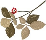 《繁花》落幕,王家卫发文:十年一瞬,江湖再见