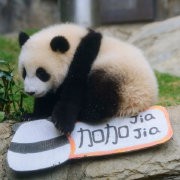 姜大卫罕见谈及与狄龙...