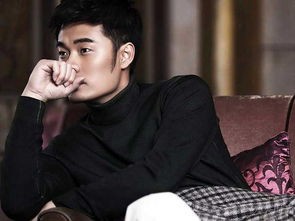 陈楚生为什么参加演员节目及综艺大赛探因