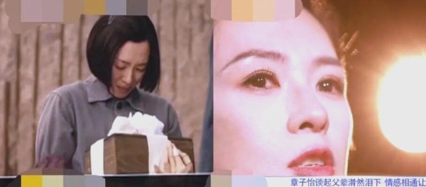 章子怡与婆婆的情感历程:娱乐圈中的和谐婆媳关系