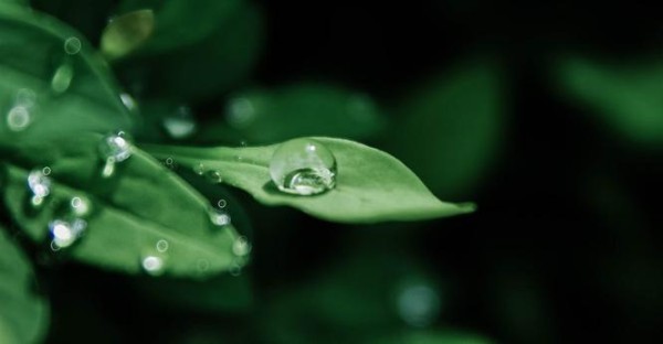 国外明星危机公关处理方式及经验