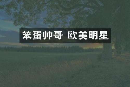 笨蛋帅哥 欧美明星