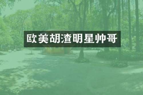 欧美胡渣明星帅哥