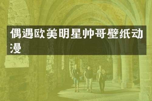 偶遇欧美明星帅哥壁纸动漫