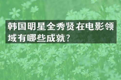 韩国明星金秀贤在电影领域有哪些成就？