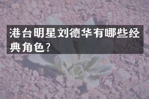 港台明星刘德华有哪些经典角色？