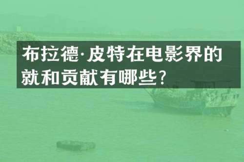 布拉德·皮特在电影界的成就和贡献有哪些？