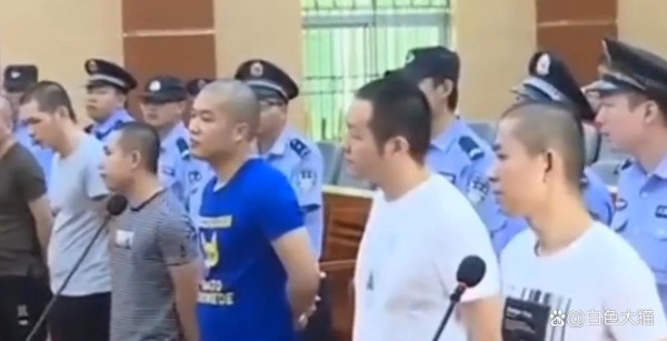 互联网明星背后的阴影:野马团伙涉黑涉恶案调查