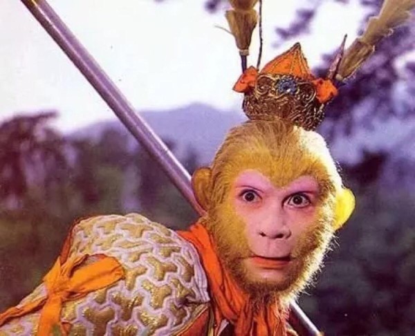 在饭店偶遇明星吃饭,两种人愿意为他们买单,一是粉丝,二是老板